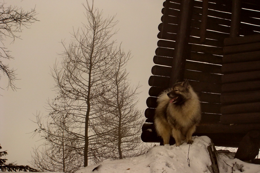 Kloptaň z Mníška nad Hnilcom (Vysoké Tatry)