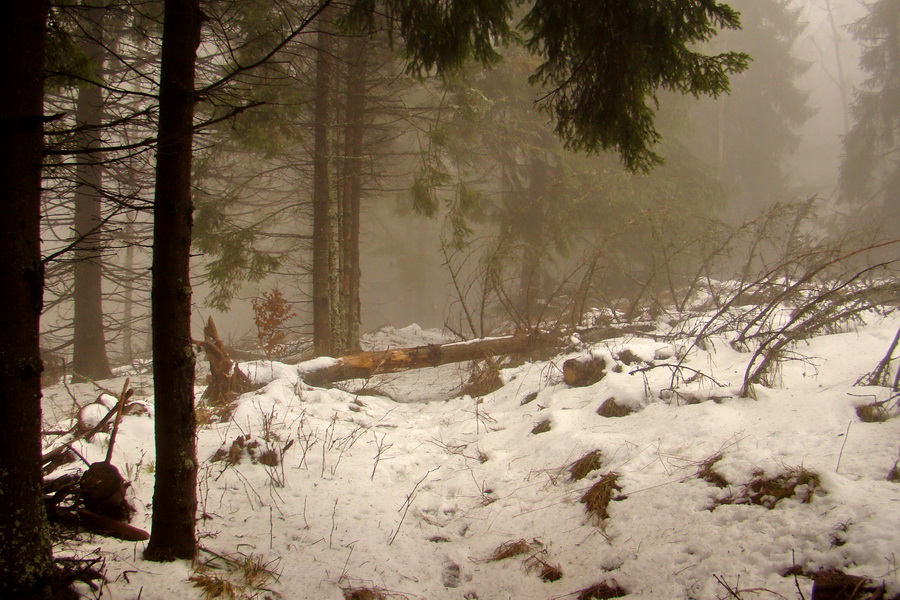 Kloptaň z Mníška nad Hnilcom (Vysoké Tatry)