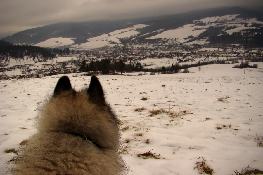 Kloptaň z Mníška nad Hnilcom (Vysoké Tatry)