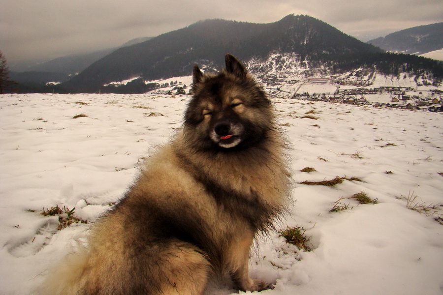 Kloptaň z Mníška nad Hnilcom (Vysoké Tatry)