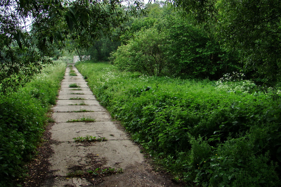 Kojšovská hoľa z Gelnice (Volovské vrchy)