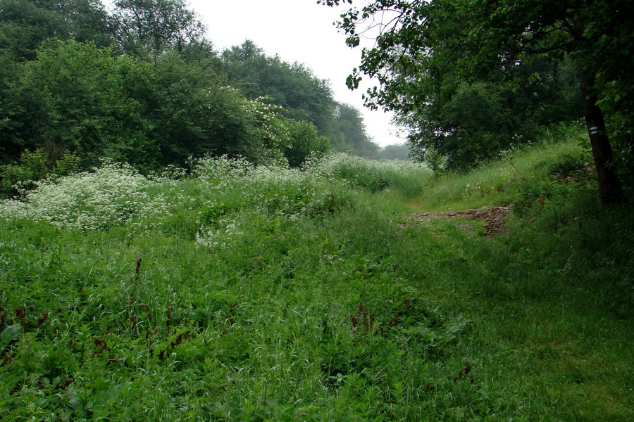 Kojšovská hoľa z Gelnice (Volovské vrchy)