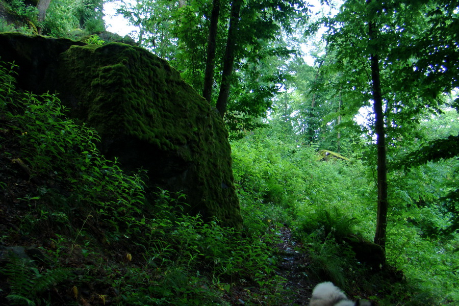 Kojšovská hoľa z Gelnice (Volovské vrchy)