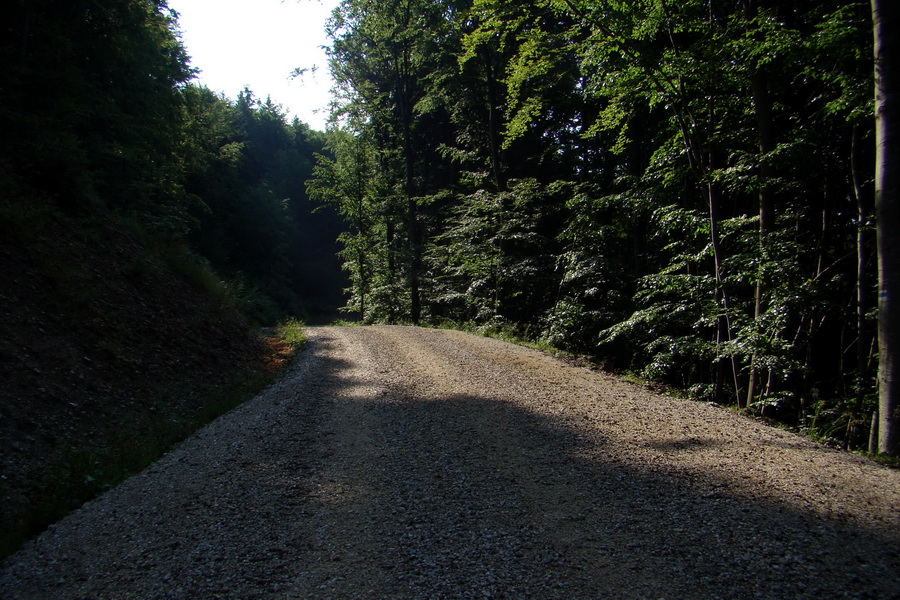 Kojšovská hoľa z Gelnice (Volovské vrchy)