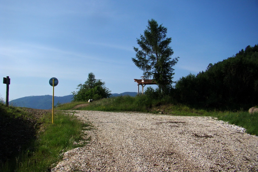 Kojšovská hoľa z Gelnice (Volovské vrchy)