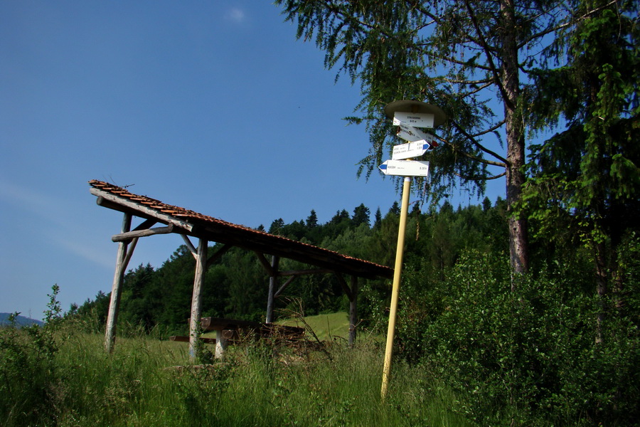 Kojšovská hoľa z Gelnice (Volovské vrchy)