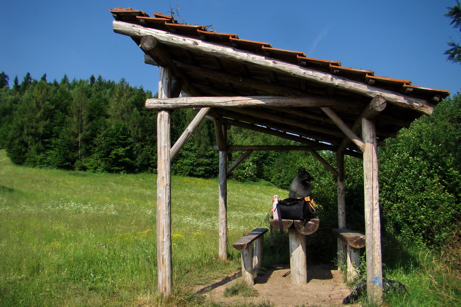 Kojšovská hoľa z Gelnice (Volovské vrchy)