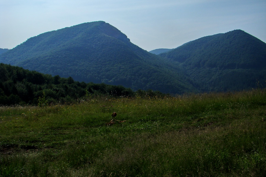 Kojšovská hoľa z Gelnice (Volovské vrchy)