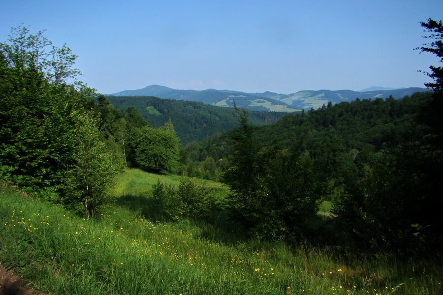 Kojšovská hoľa z Gelnice (Volovské vrchy)