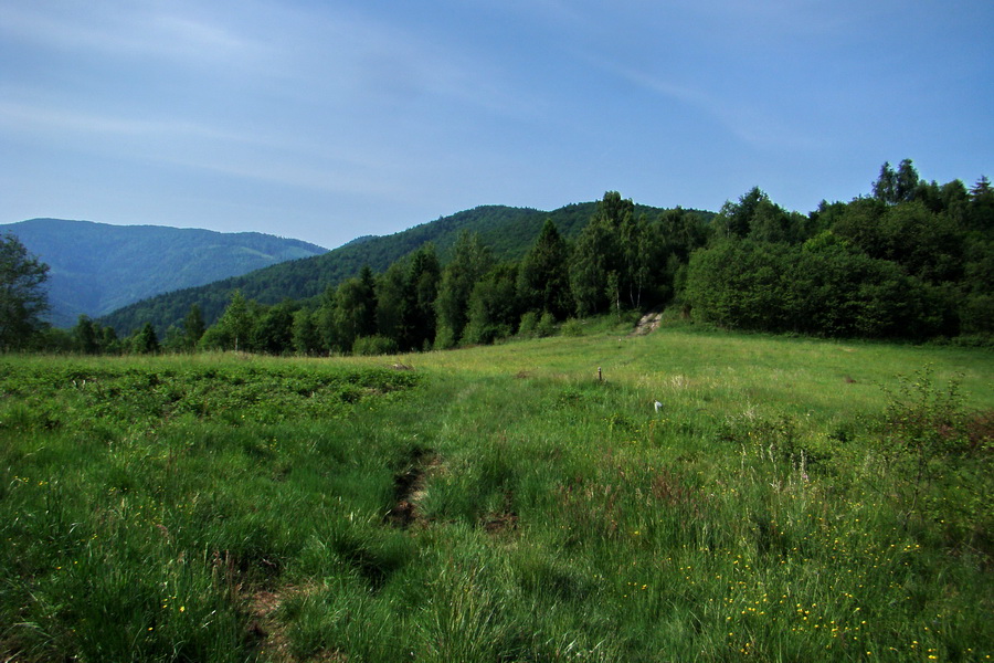 Kojšovská hoľa z Gelnice (Volovské vrchy)