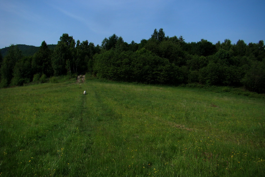 Kojšovská hoľa z Gelnice (Volovské vrchy)