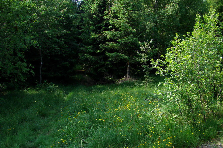 Kojšovská hoľa z Gelnice (Volovské vrchy)