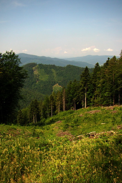 Kojšovská hoľa z Gelnice (Volovské vrchy)