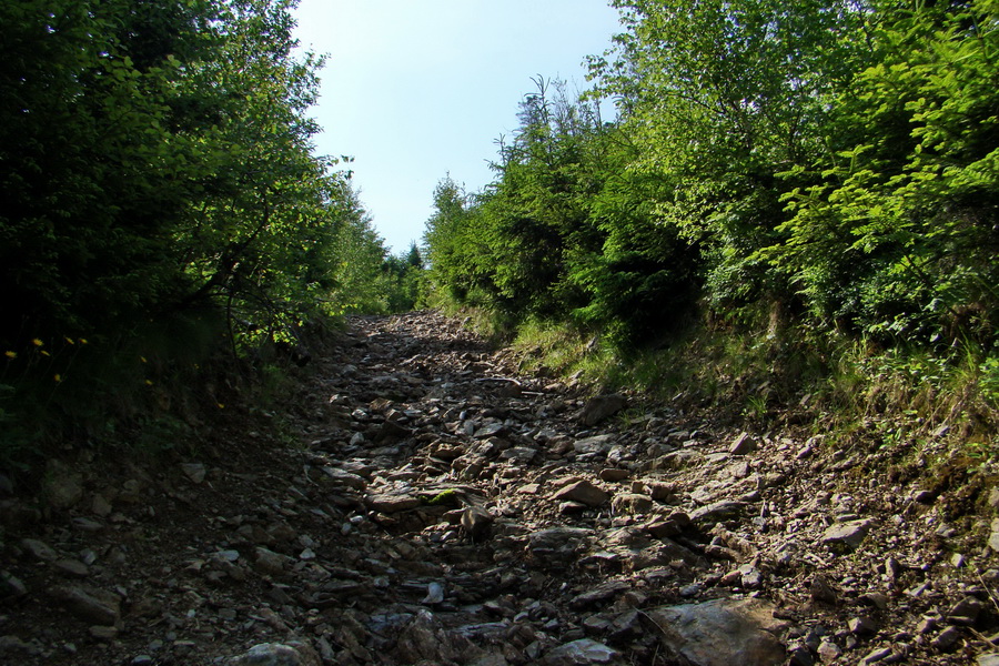 Kojšovská hoľa z Gelnice (Volovské vrchy)