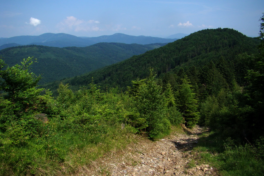 Kojšovská hoľa z Gelnice (Volovské vrchy)