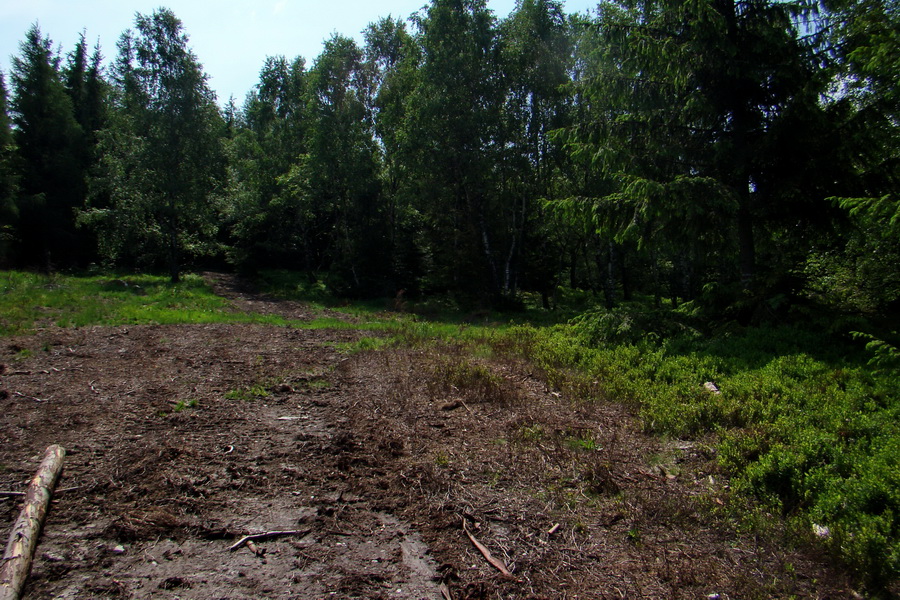 Kojšovská hoľa z Gelnice (Volovské vrchy)