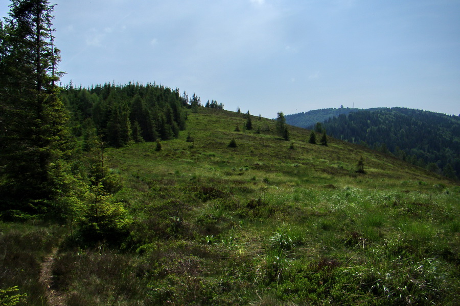 Kojšovská hoľa z Gelnice (Volovské vrchy)