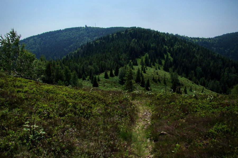 Kojšovská hoľa z Gelnice (Volovské vrchy)