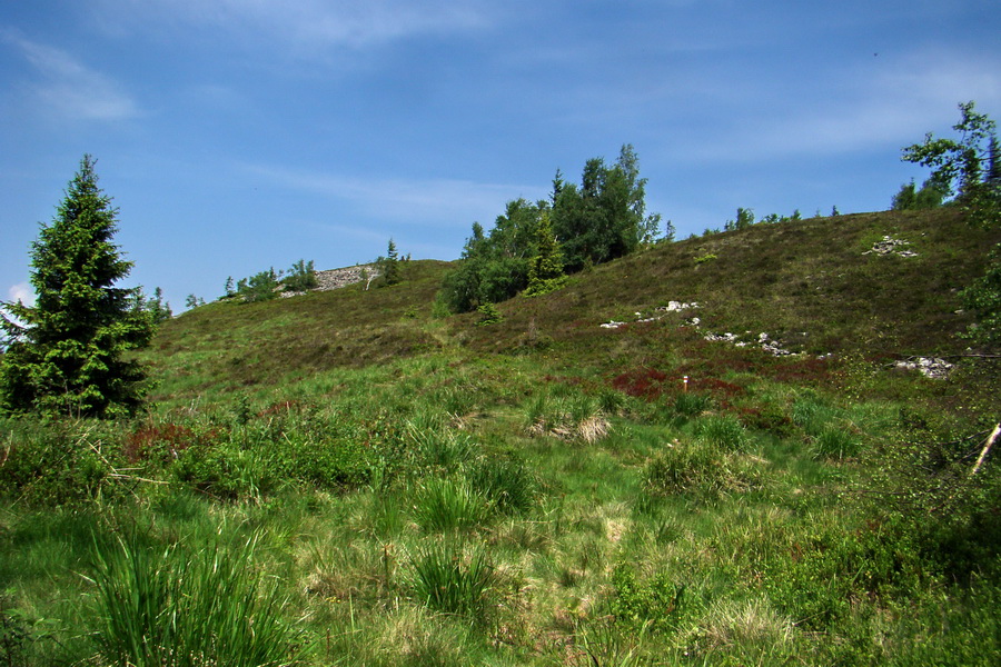 Kojšovská hoľa z Gelnice (Volovské vrchy)