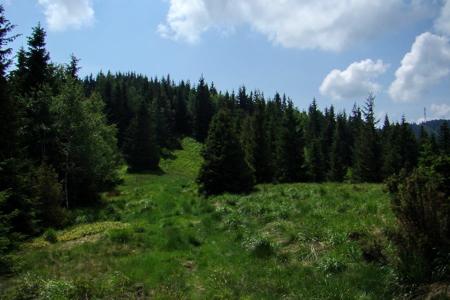 Kojšovská hoľa z Gelnice (Volovské vrchy)