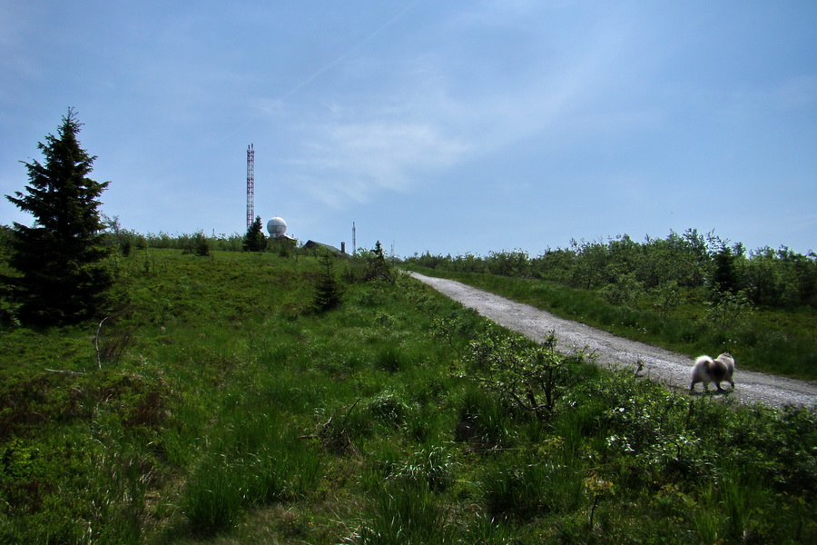 Kojšovská hoľa z Gelnice (Volovské vrchy)