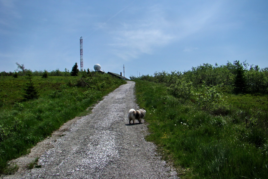 Kojšovská hoľa z Gelnice (Volovské vrchy)