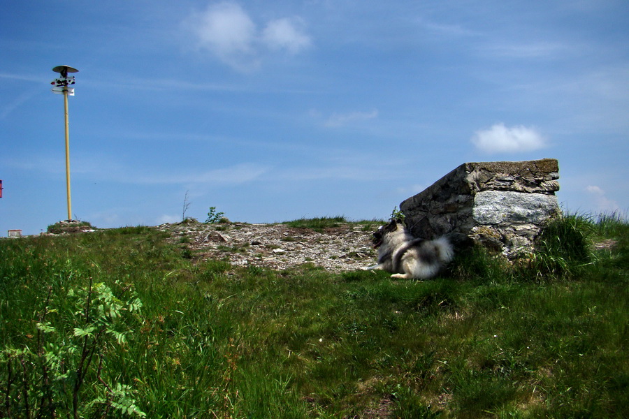 Kojšovská hoľa z Gelnice (Volovské vrchy)