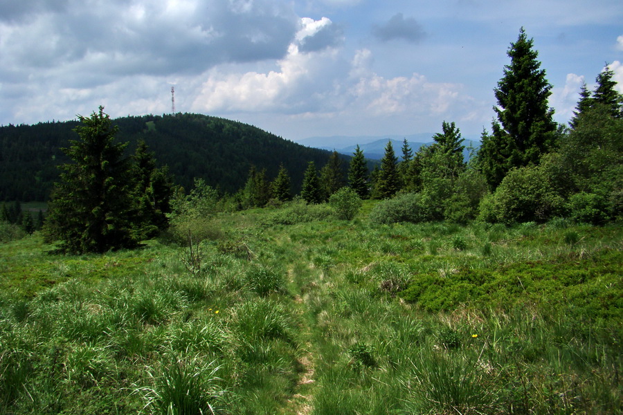 Kojšovská hoľa z Gelnice (Volovské vrchy)