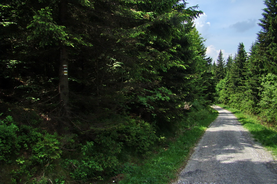 Kojšovská hoľa z Gelnice (Volovské vrchy)