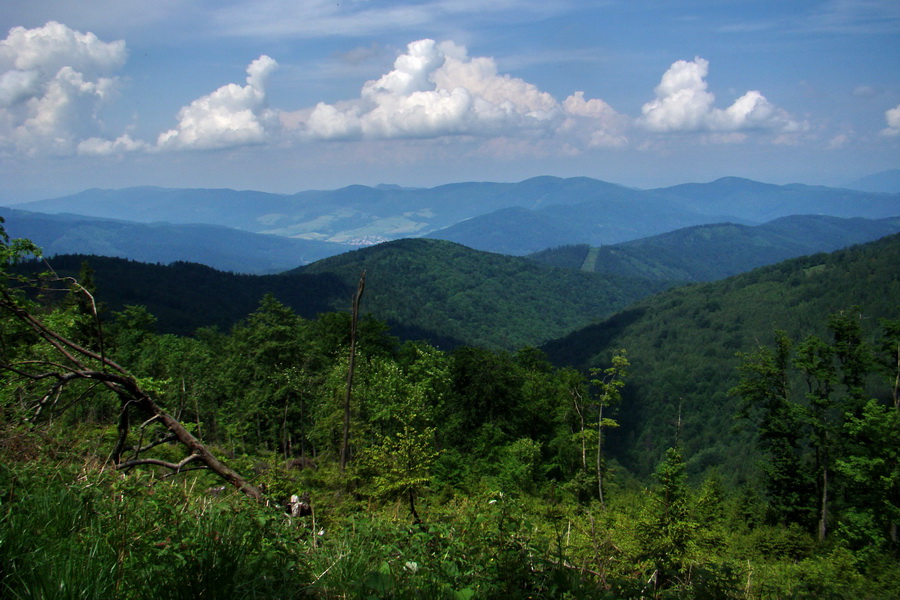 Kojšovská hoľa z Gelnice (Volovské vrchy)