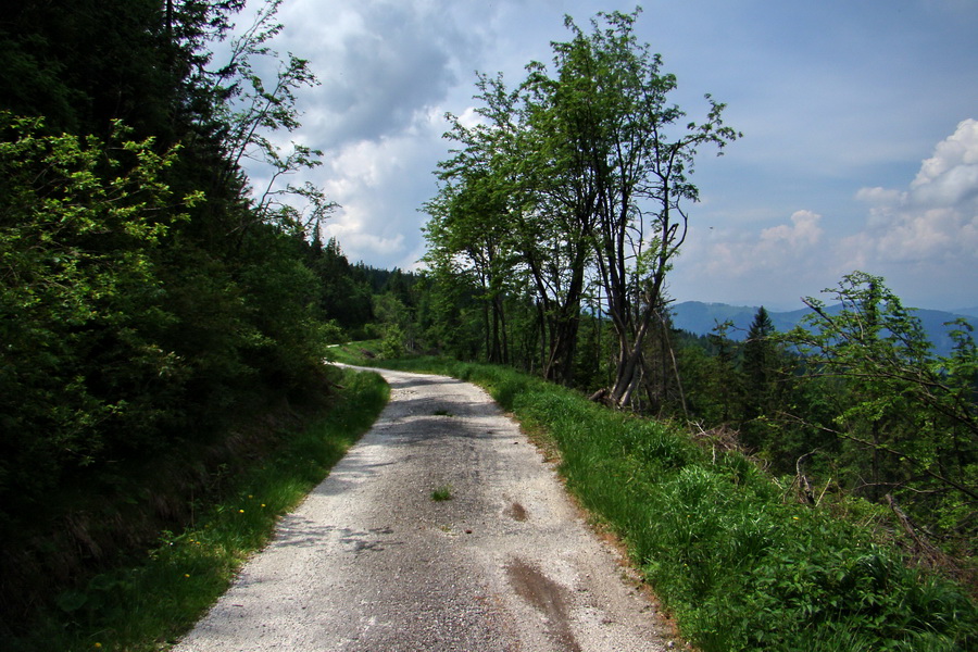 Kojšovská hoľa z Gelnice (Volovské vrchy)