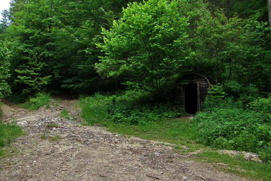 Kojšovská hoľa z Gelnice (Volovské vrchy)