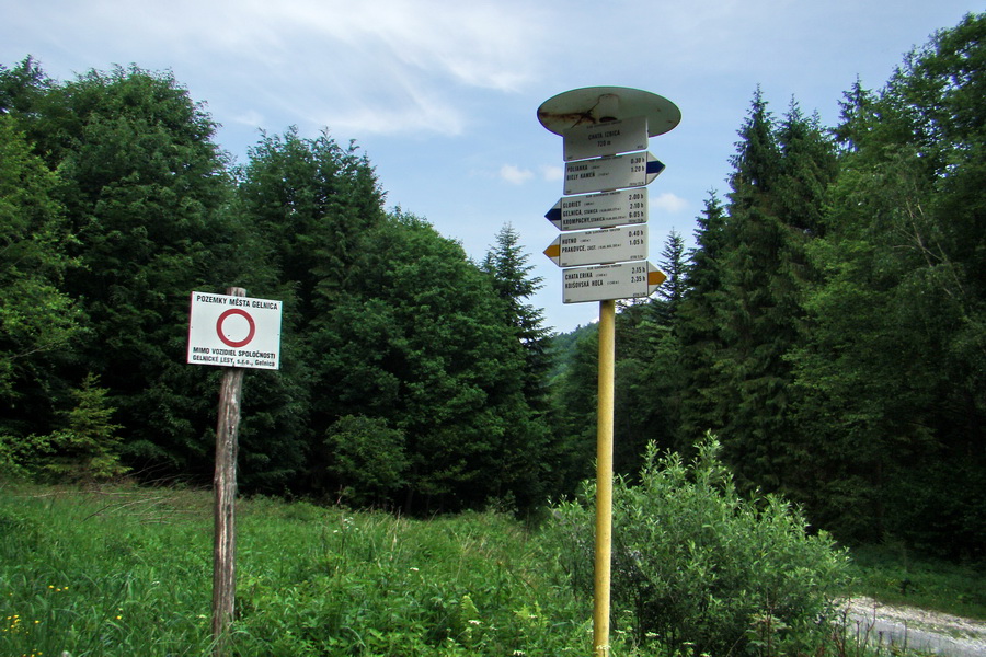 Kojšovská hoľa z Gelnice (Volovské vrchy)