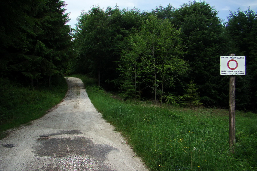 Kojšovská hoľa z Gelnice (Volovské vrchy)