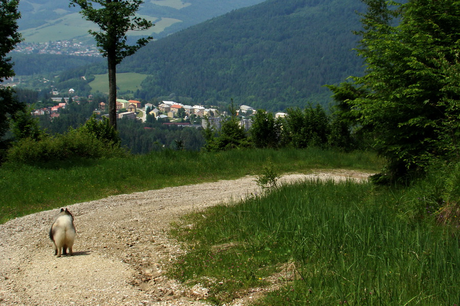 Kojšovská hoľa z Gelnice (Volovské vrchy)