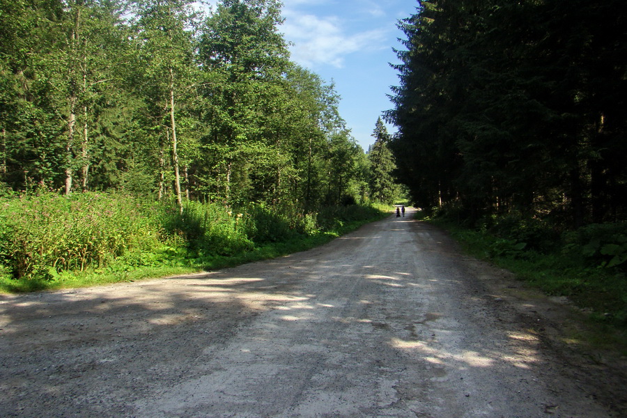 Koniec Javorovej doliny (Vysoké Tatry)