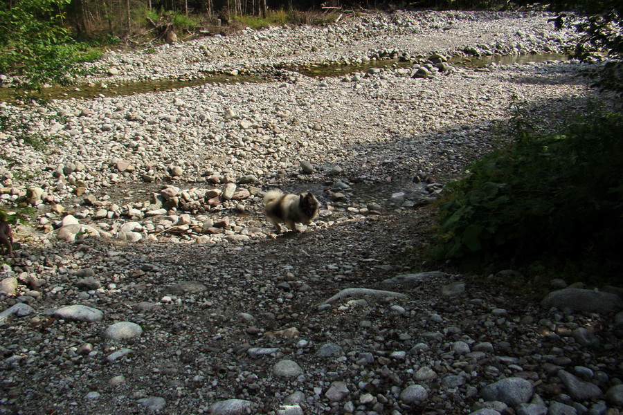 Koniec Javorovej doliny (Vysoké Tatry)