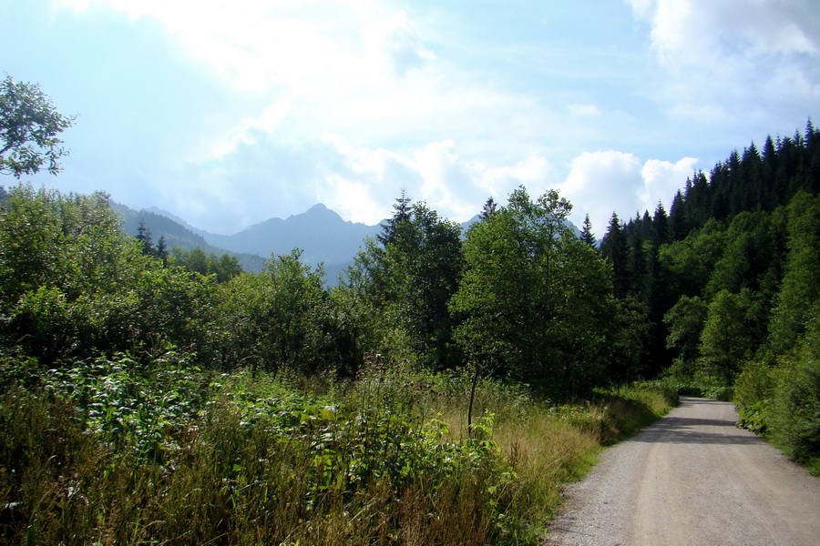 Koniec Javorovej doliny (Vysoké Tatry)