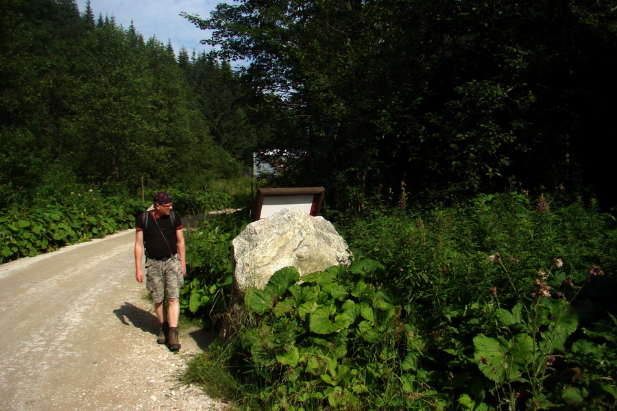 Koniec Javorovej doliny (Vysoké Tatry)