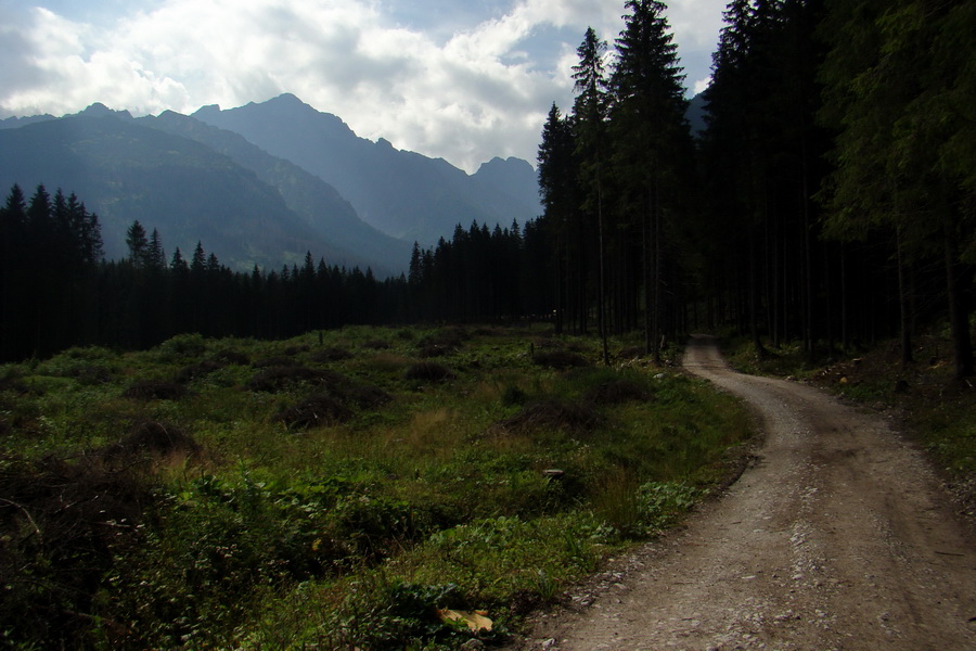 Koniec Javorovej doliny (Vysoké Tatry)