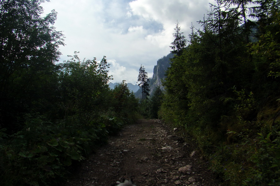 Koniec Javorovej doliny (Vysoké Tatry)