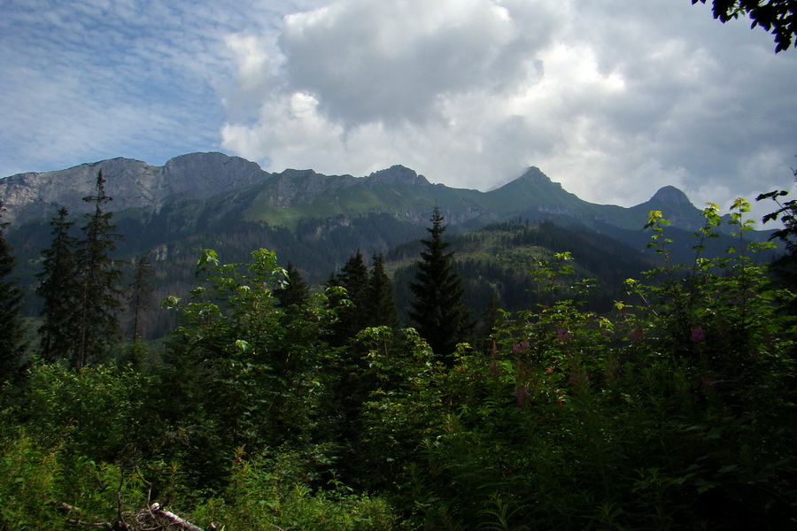 Koniec Javorovej doliny (Vysoké Tatry)