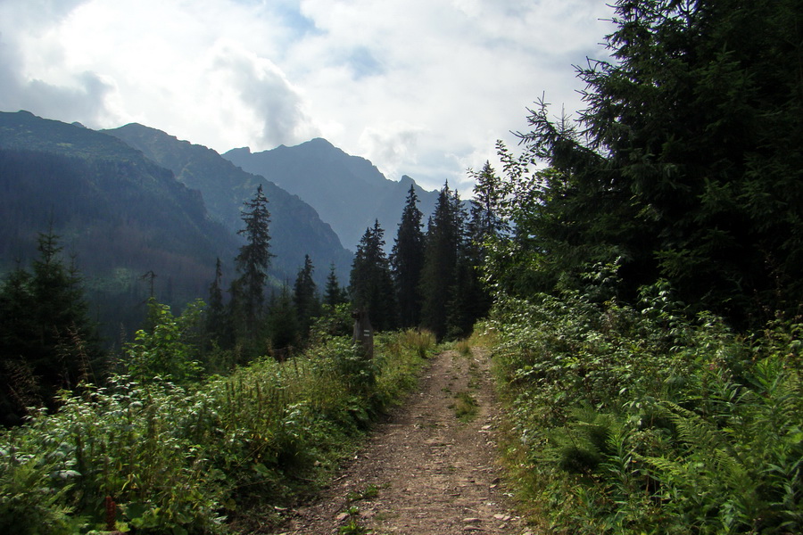 Koniec Javorovej doliny (Vysoké Tatry)