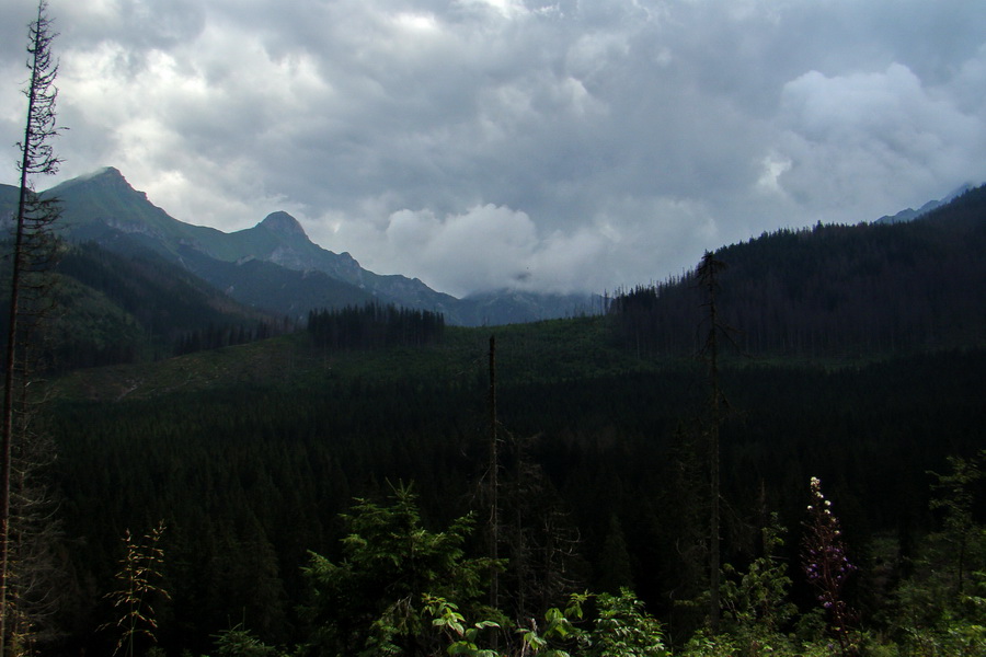 Koniec Javorovej doliny (Vysoké Tatry)