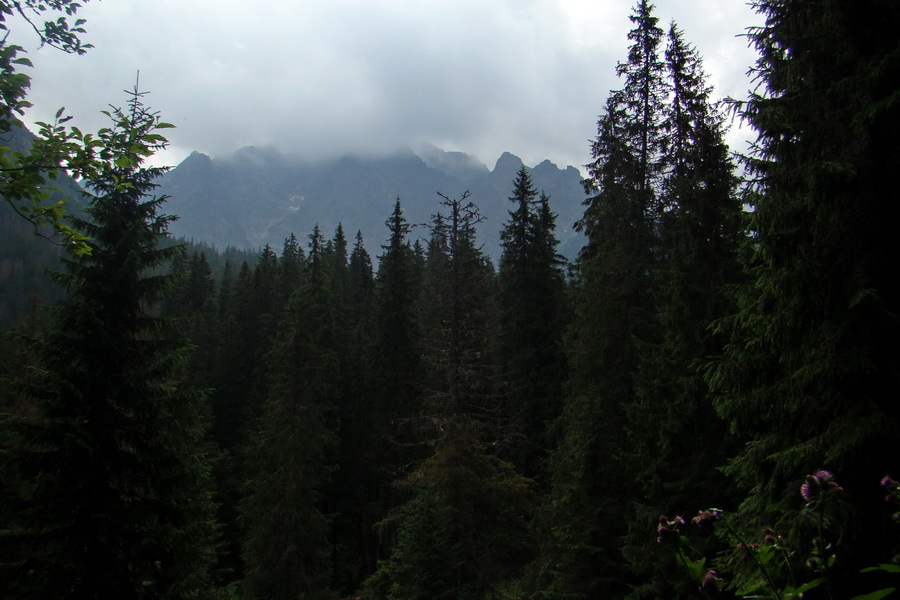 Koniec Javorovej doliny (Vysoké Tatry)