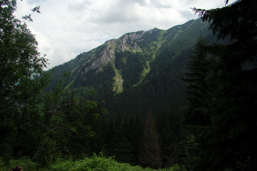 Koniec Javorovej doliny (Vysoké Tatry)