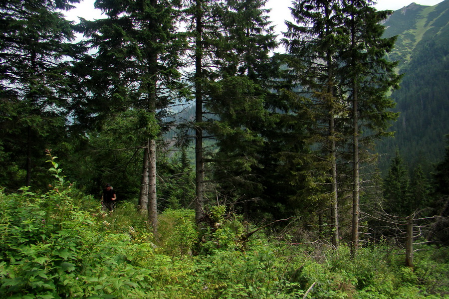 Koniec Javorovej doliny (Vysoké Tatry)