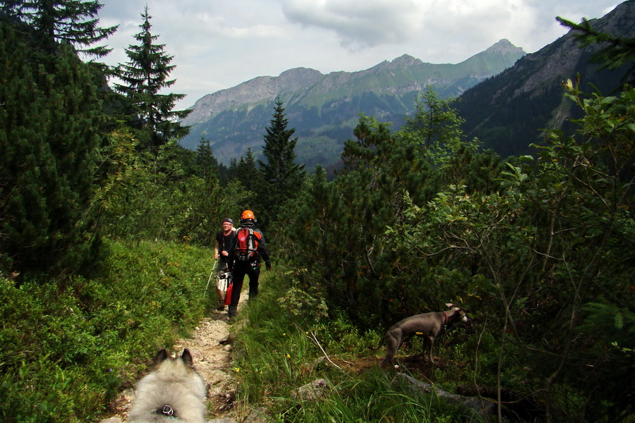 Koniec Javorovej doliny (Vysoké Tatry)