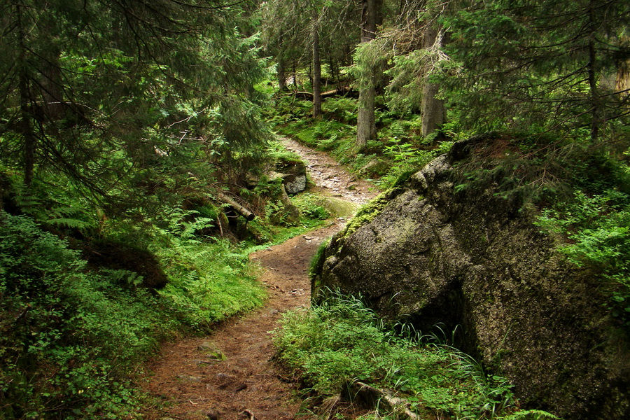 Koniec Javorovej doliny (Vysoké Tatry)