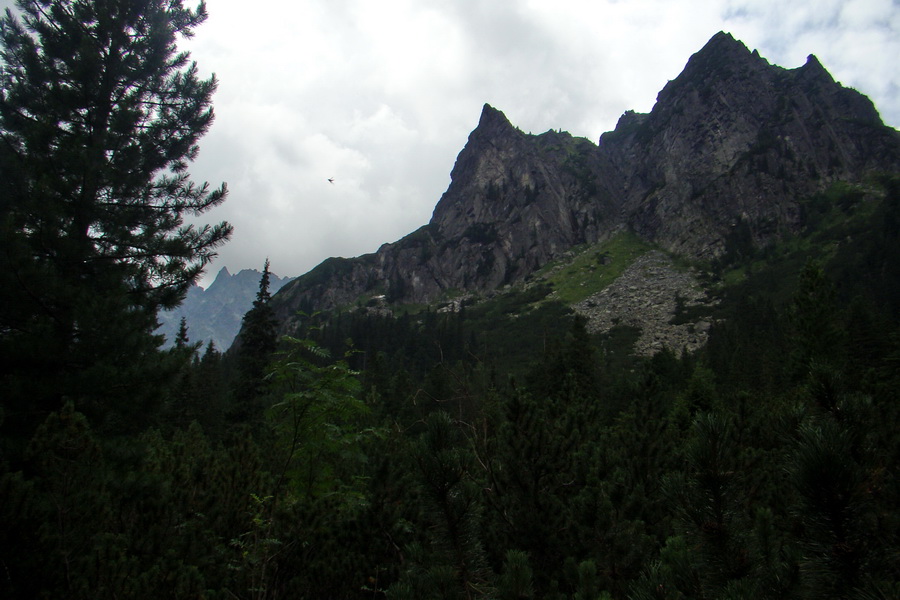 Koniec Javorovej doliny (Vysoké Tatry)